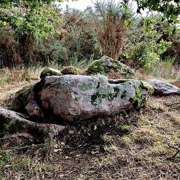 Dolmen de la Briordais à Saint-Brevin-les-Pins