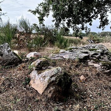 Dolmen de la Briordais à Saint-Brevin-les-Pins