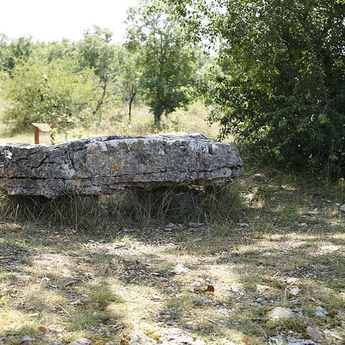 Photo de Dolmen de la Chassagne à Saint-Cernin-de-Larche