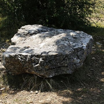 Dolmen de la Chassagne à Saint-Cernin-de-Larche