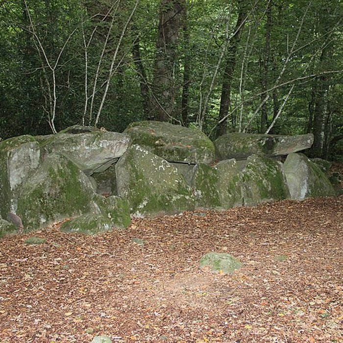 Photo de Dolmen de la Contrie à Ernée