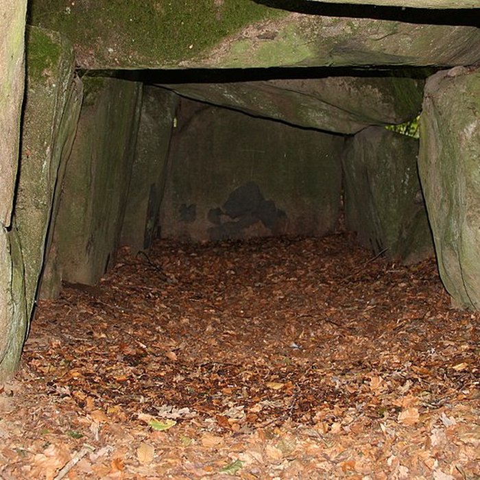 Photo de Dolmen de la Contrie à Ernée