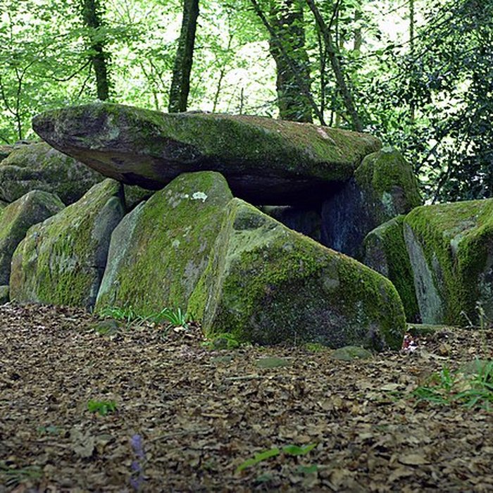 Photo de Dolmen de la Contrie à Ernée