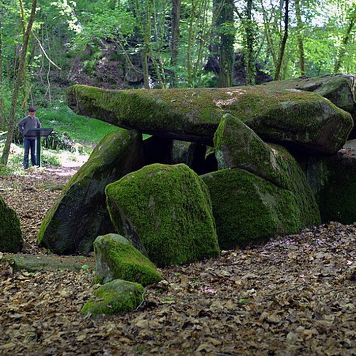 Photo de Dolmen de la Contrie à Ernée