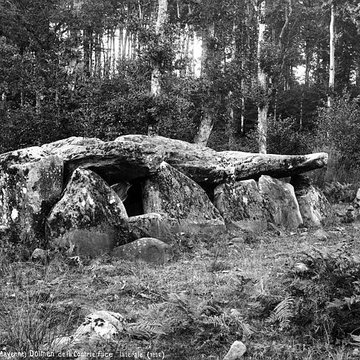 dolmen de la contrie a ernee