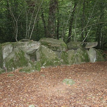 Dolmen de la Contrie à Ernée