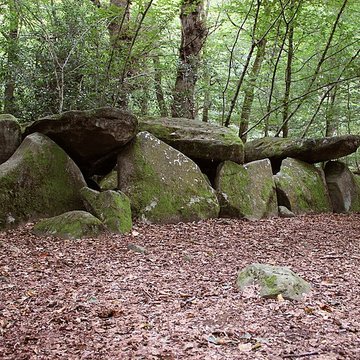 Dolmen de la Contrie à Ernée