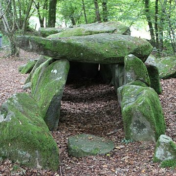 Dolmen de la Contrie à Ernée