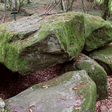 Dolmen de la Contrie à Ernée