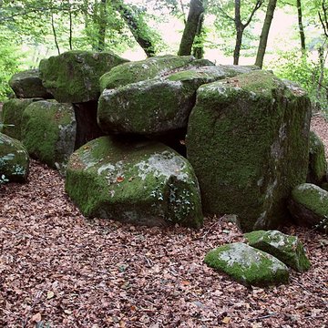 Dolmen de la Contrie à Ernée
