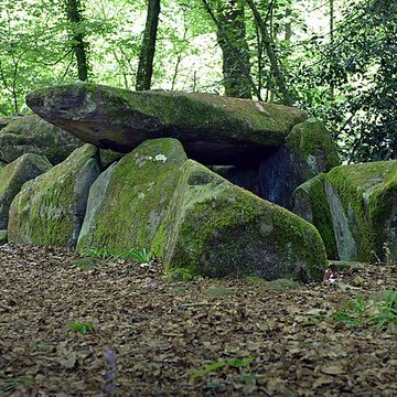 Dolmen de la Contrie à Ernée