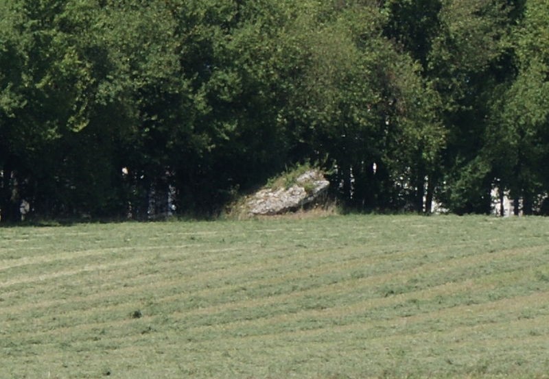 Photo de Dolmen de la Croisonnière à Nanteuil