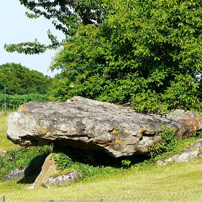 Photo de Dolmen de la Fontaine à Saint-Léger-de-Montbrillais