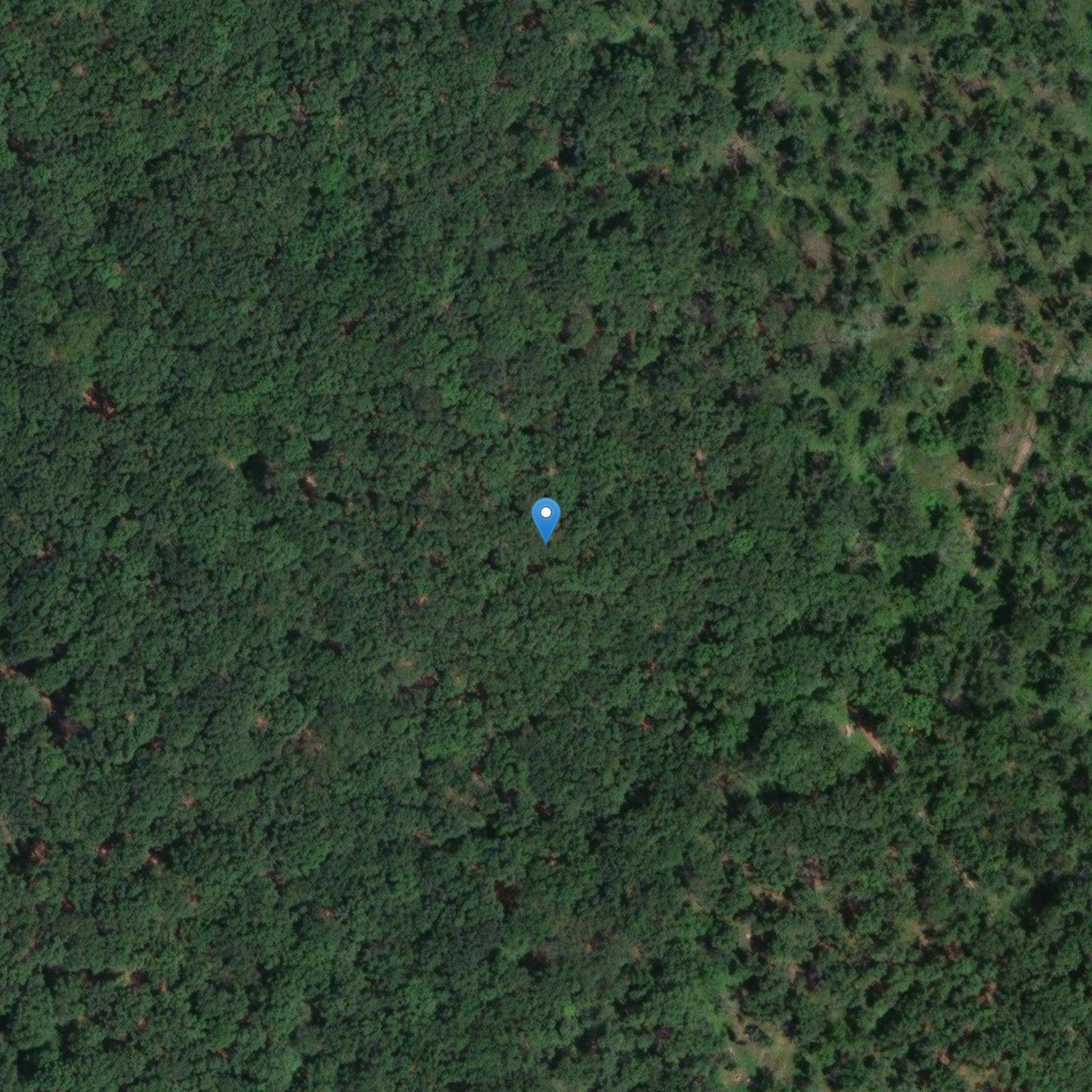 Photo de Dolmen de la Guette de L'Île-d'Yeu