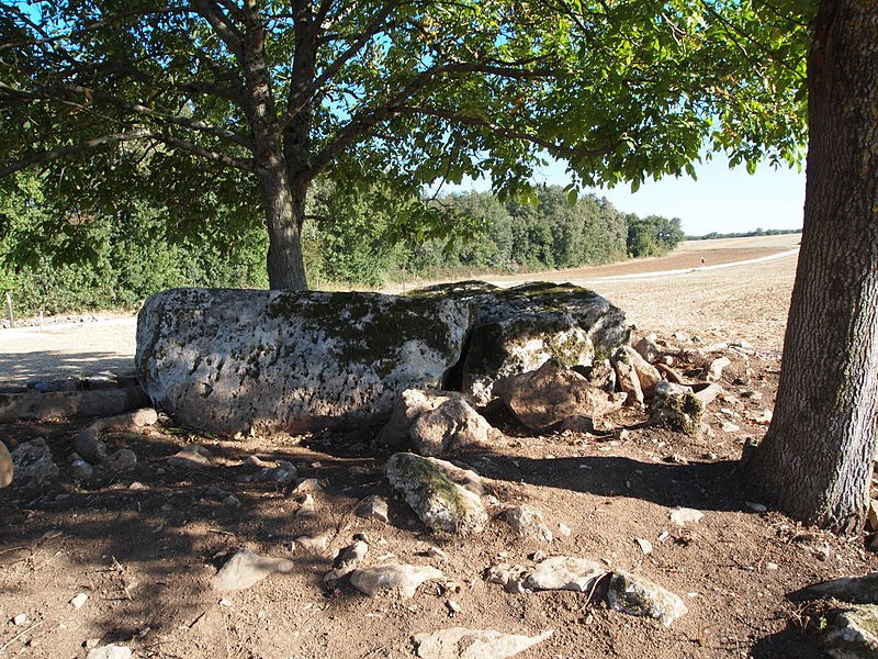 Photo de Dolmen de la Maison de la Vieille à Luxé
