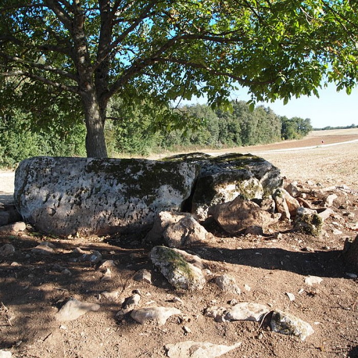 Photo de Dolmen de la Maison de la Vieille à Luxé