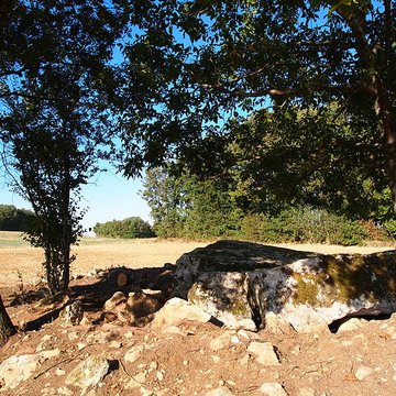 Dolmen de la Maison de la Vieille à Luxé