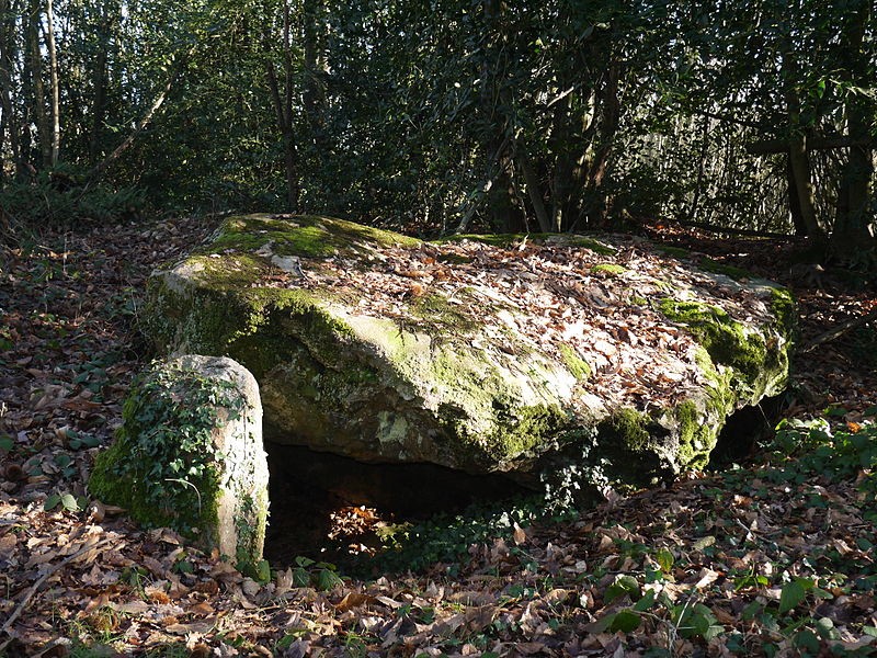 Photo de Dolmen de la Petifaie à La Ferrière-de-Flée