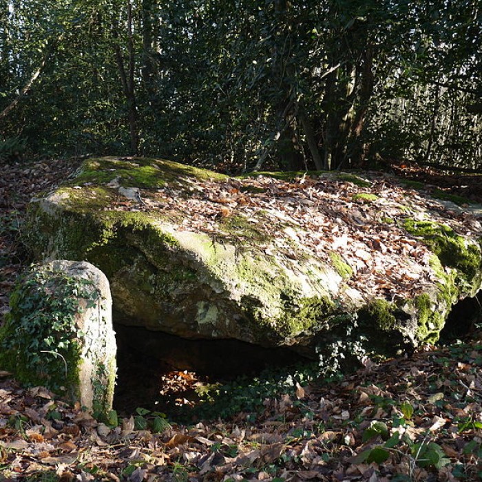 Photo de Dolmen de la Petifaie à La Ferrière-de-Flée