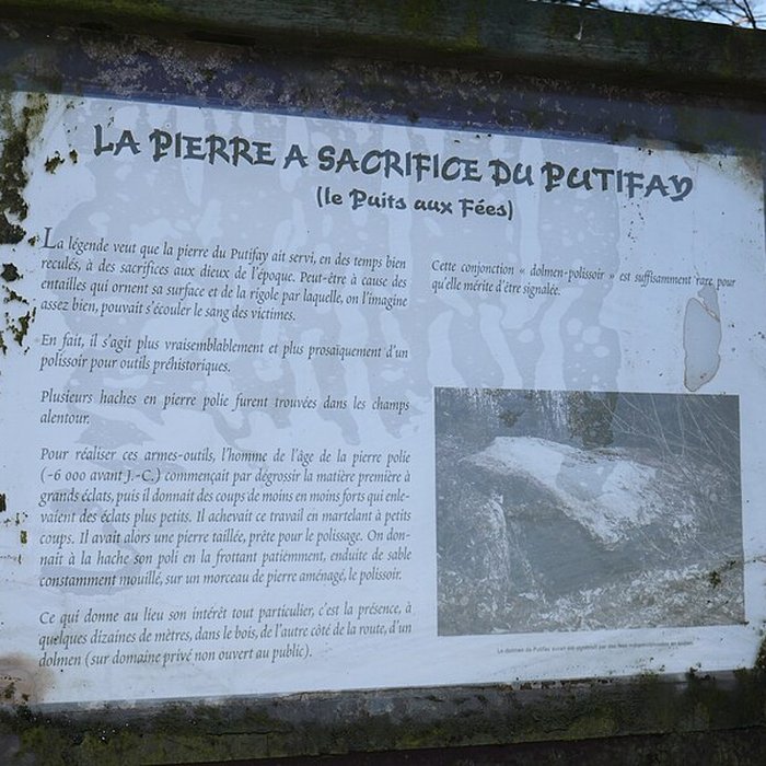 Photo de Dolmen de la Petifaie à La Ferrière-de-Flée
