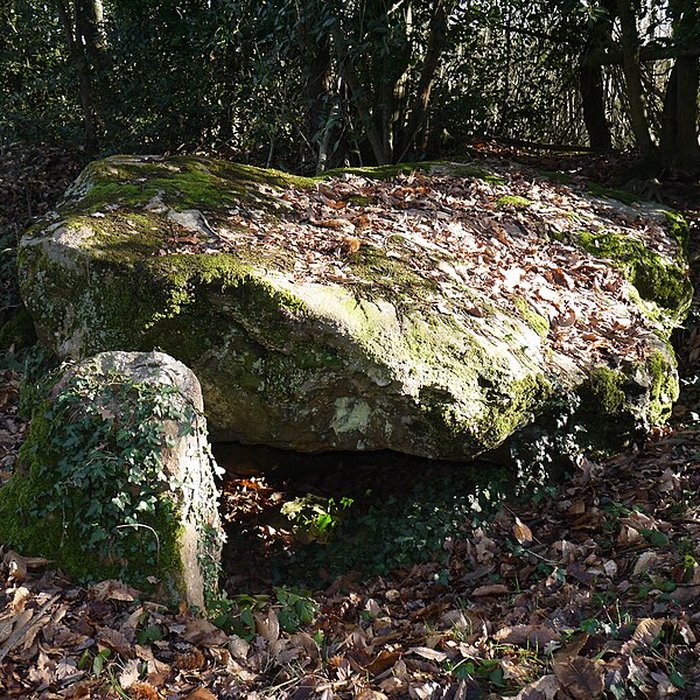 Photo de Dolmen de la Petifaie à La Ferrière-de-Flée