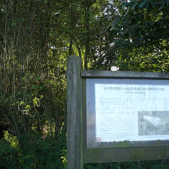 Photo de Dolmen de la Petifaie à La Ferrière-de-Flée