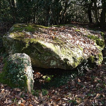 Dolmen de la Petifaie à La Ferrière-de-Flée