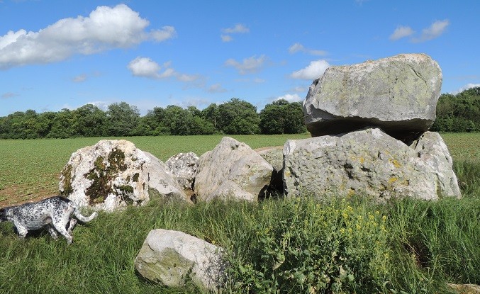 Photo de Dolmen de la Pierre Clouée à Andonville