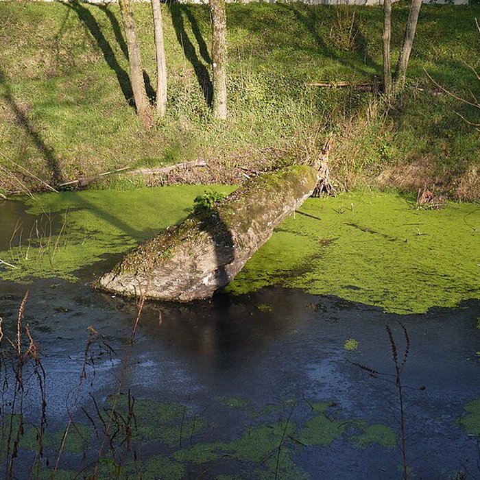 Photo de Dolmen de la Pierre Couvretière à Ancenis