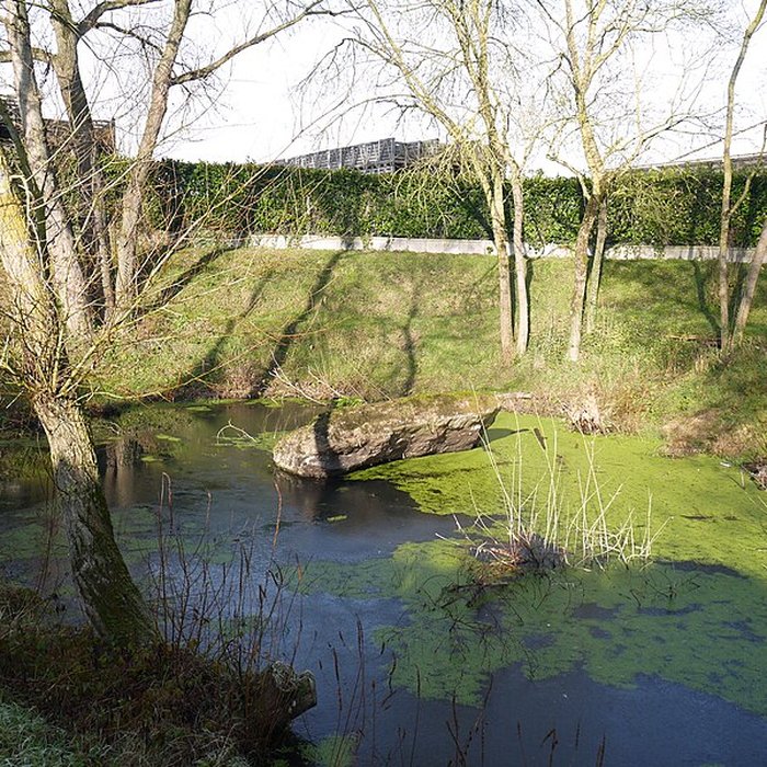 Photo de Dolmen de la Pierre Couvretière à Ancenis