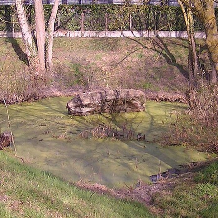 Photo de Dolmen de la Pierre Couvretière à Ancenis