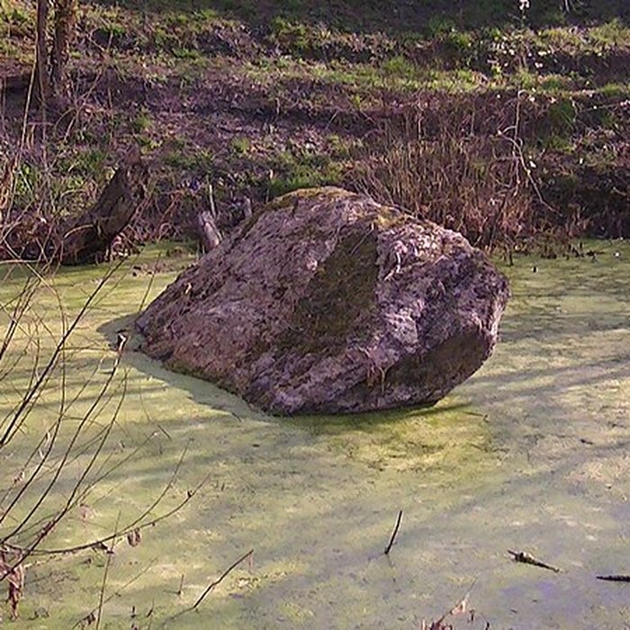 Photo de Dolmen de la Pierre Couvretière à Ancenis