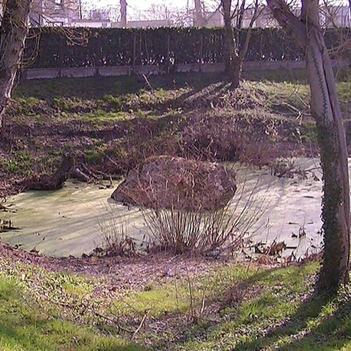 Photo de Dolmen de la Pierre Couvretière à Ancenis