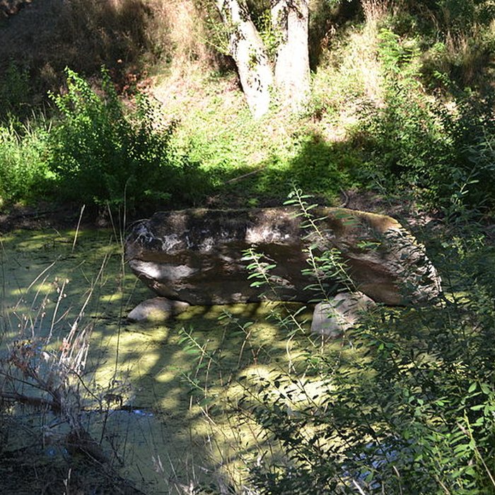 Photo de Dolmen de la Pierre Couvretière à Ancenis