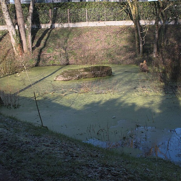 Photo de Dolmen de la Pierre Couvretière à Ancenis