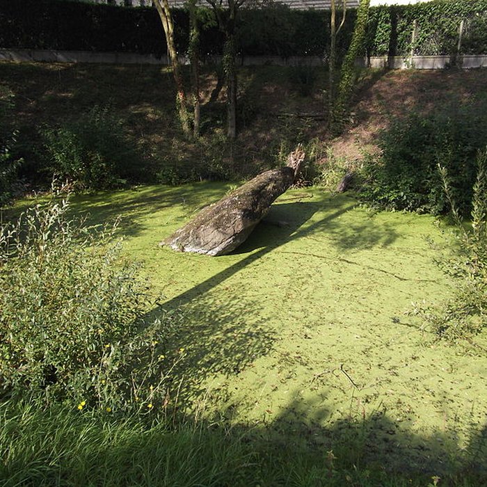 Photo de Dolmen de la Pierre Couvretière à Ancenis