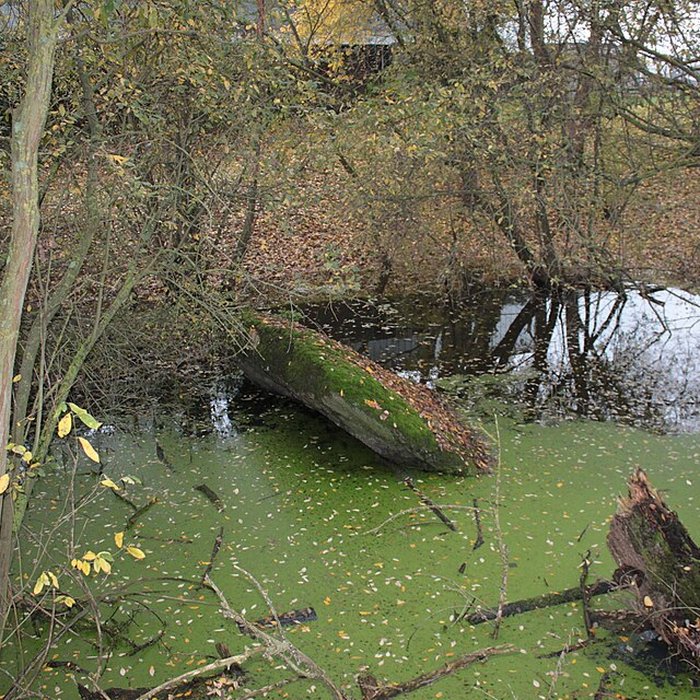 Photo de Dolmen de la Pierre Couvretière à Ancenis