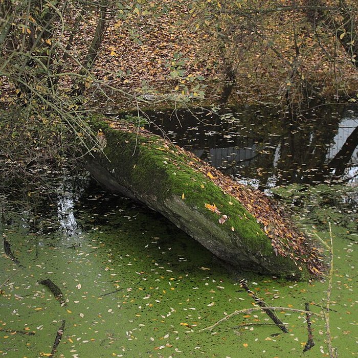 Photo de Dolmen de la Pierre Couvretière à Ancenis