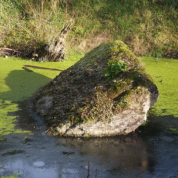 Dolmen de la Pierre Couvretière à Ancenis