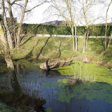 Dolmen de la Pierre Couvretière à Ancenis