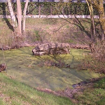 Dolmen de la Pierre Couvretière à Ancenis