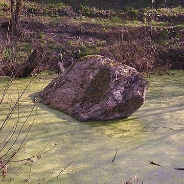 Dolmen de la Pierre Couvretière à Ancenis