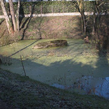 Dolmen de la Pierre Couvretière à Ancenis