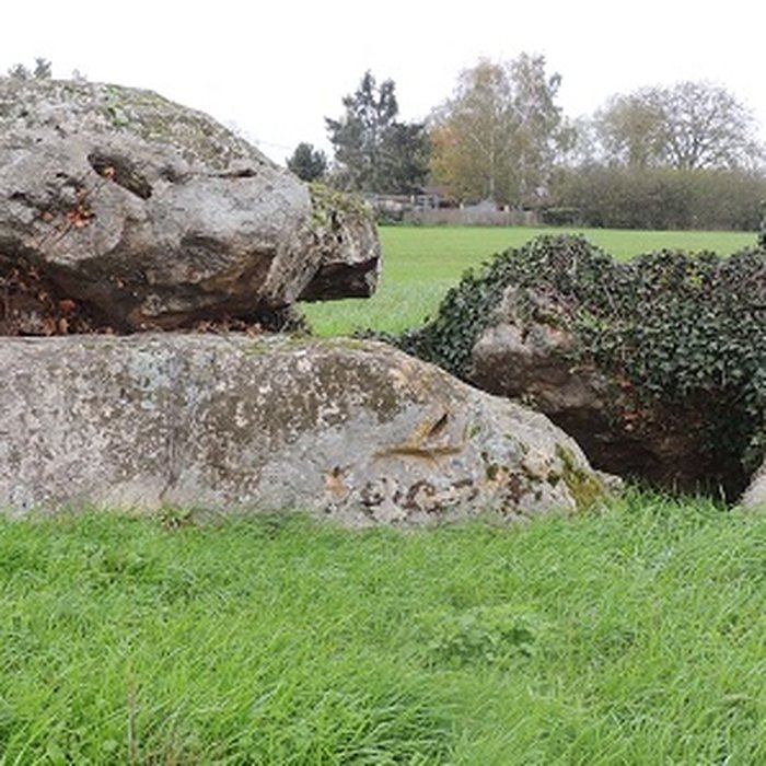 Photo de Dolmen de La Pierre et Cromlech de La Pierre à Moulins-sur-Céphons