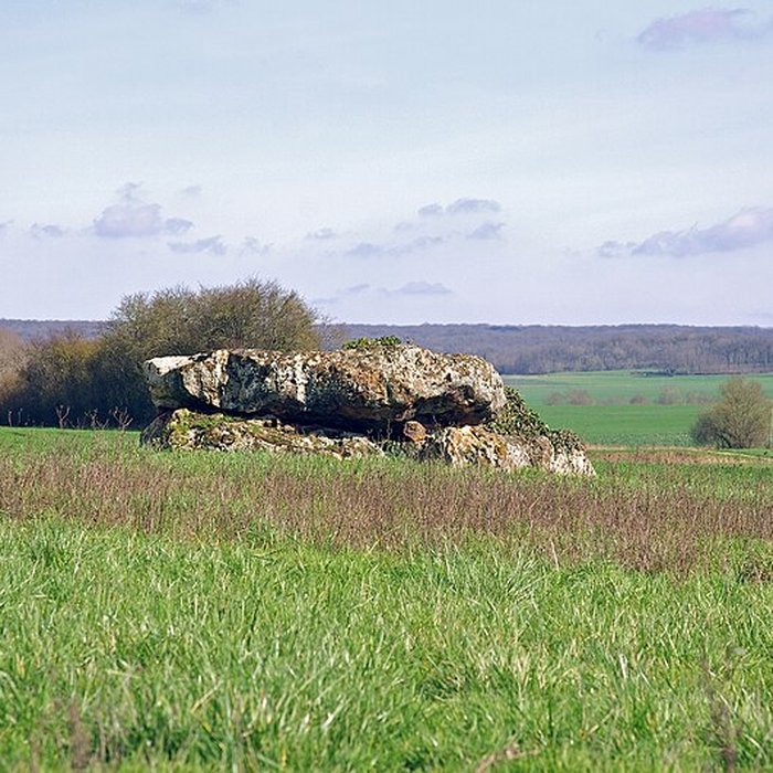 Photo de Dolmen de La Pierre et Cromlech de La Pierre à Moulins-sur-Céphons
