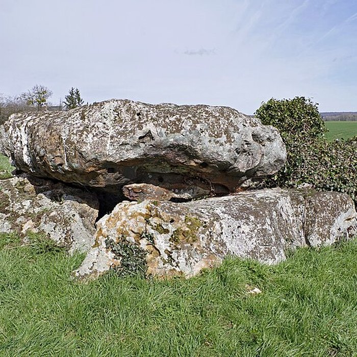 Photo de Dolmen de La Pierre et Cromlech de La Pierre à Moulins-sur-Céphons