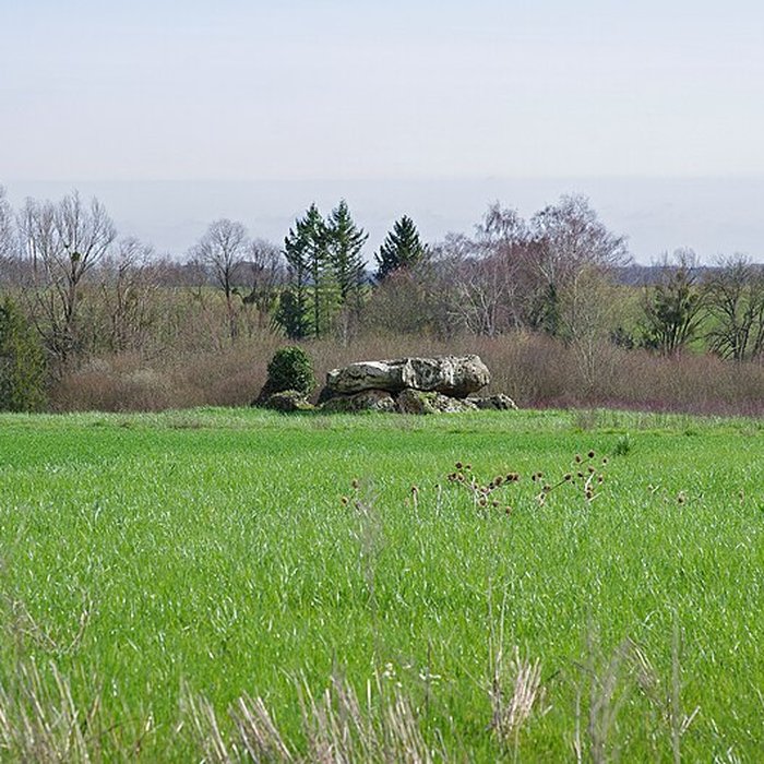 Photo de Dolmen de La Pierre et Cromlech de La Pierre à Moulins-sur-Céphons
