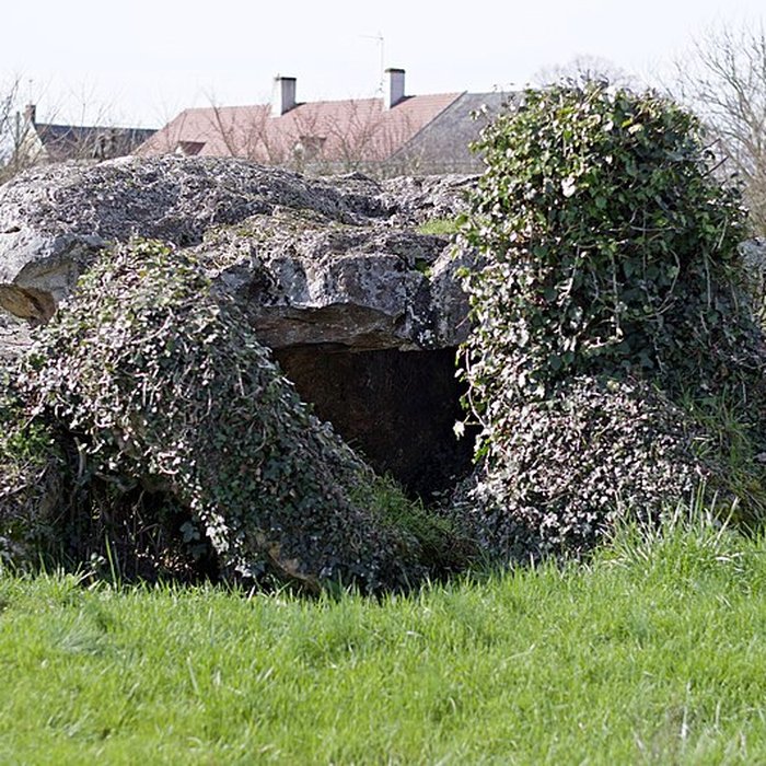 Photo de Dolmen de La Pierre et Cromlech de La Pierre à Moulins-sur-Céphons