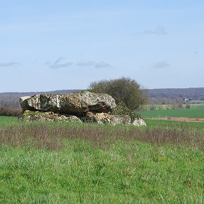 Photo de Dolmen de La Pierre et Cromlech de La Pierre à Moulins-sur-Céphons