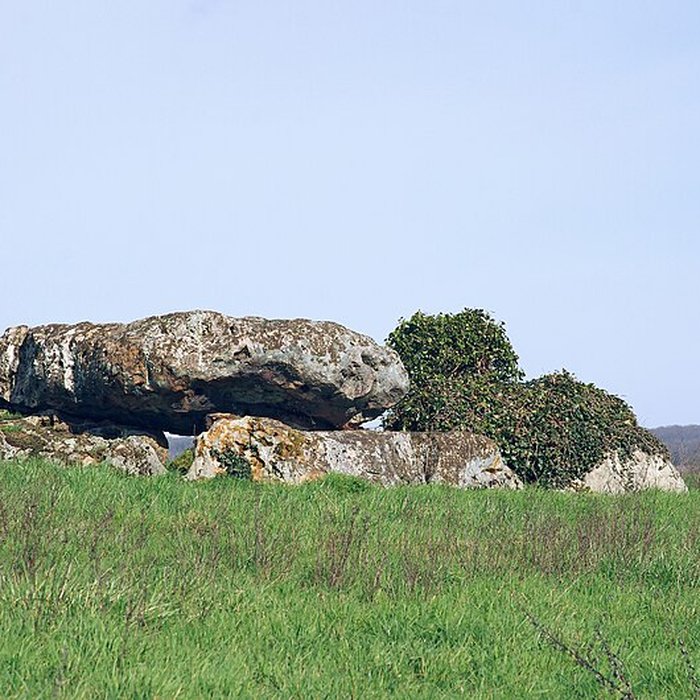 Photo de Dolmen de La Pierre et Cromlech de La Pierre à Moulins-sur-Céphons